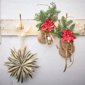 Poinsecje - gwiazdy zimowych dekoracji, które odmienią dom i świąteczny stół