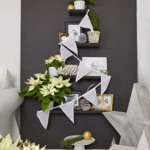 Poinsecje - gwiazdy zimowych dekoracji, które odmienią dom i świąteczny stół