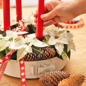 Poinsecje - gwiazdy zimowych dekoracji, które odmienią dom i świąteczny stół