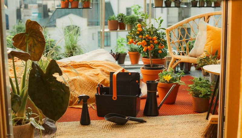 Samo podlewanie nie wystarczy - 5 kluczowych zasad pielęgnacji roślin doniczkowych