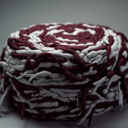 Mroczna róża
Opracowana przez projektantki...