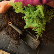 Łopatka do ziemi - ok. 39 zł 