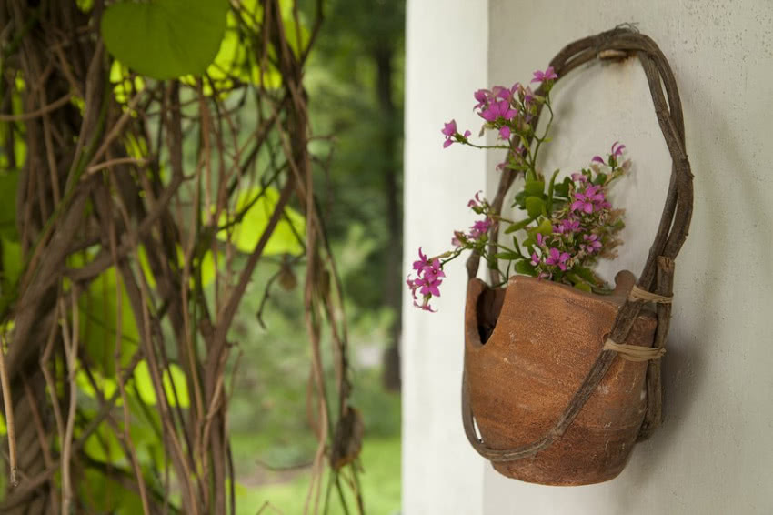Wisząca doniczka, a w niej kalanhoe.