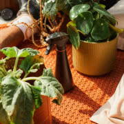 Łopatka do ziemi - ok. 39 zł 