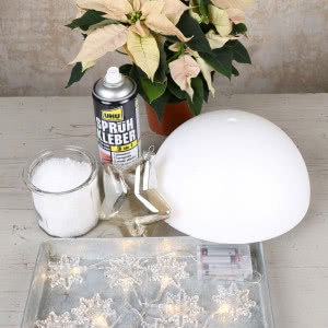 Poinsecje - gwiazdy zimowych dekoracji, które odmienią dom i świąteczny stół