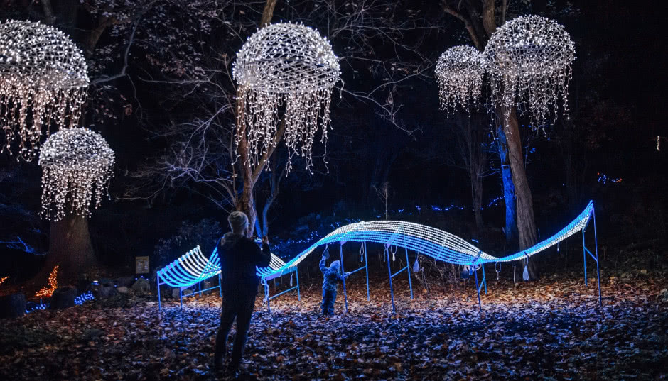 Najciekawsze wystawy i koncerty w grudniu w Warszawie. Co warto zobaczyć?