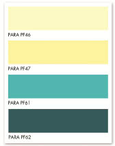 Gotowa paleta kolorów PARA Paints