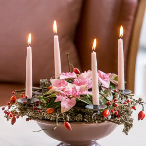 Poinsecje - gwiazdy zimowych dekoracji, które odmienią dom i świąteczny stół