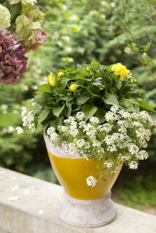 Kwiaty w doniczce na balustradzie ganku.