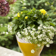 Styl rustykalny w starej willi