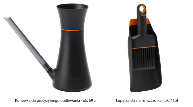 Samo podlewanie nie wystarczy - 5 kluczowych zasad pielęgnacji roślin doniczkowych