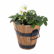 Donica ogrodowa Novias z drewna sosnowego