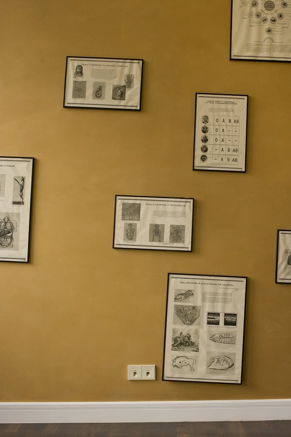 Rysunki wyjęte z kupionego na pchlim targu...