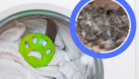 Tak w prosty sposób pozbędziecie się sierści pupilów z pralki po wypraniu. Wystarczy 1 rzecz