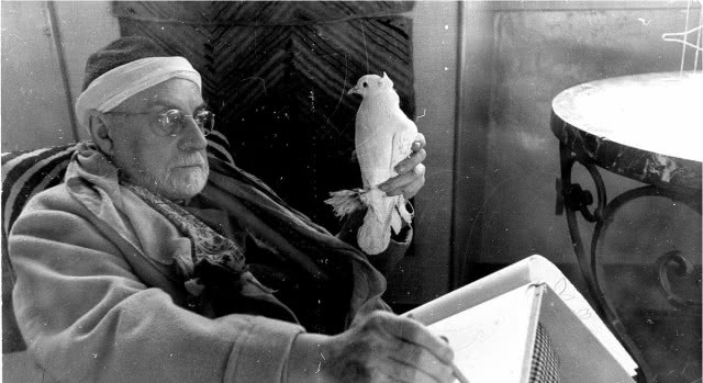 matisse z ptakiem, szkicuje