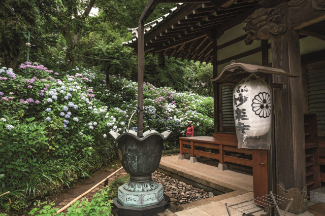 Ogród w stylu japońskim