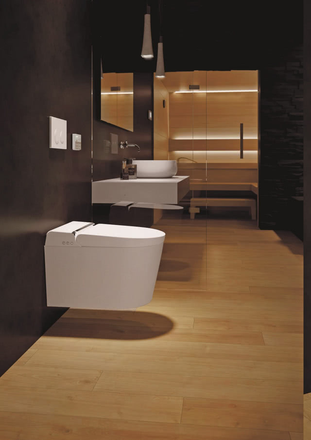 stelaż podtynkowy wc