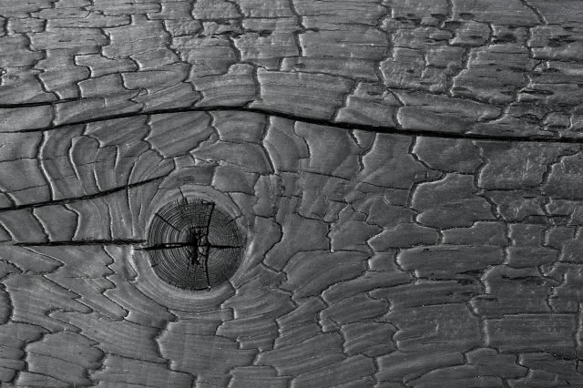 drewno opalane faktura