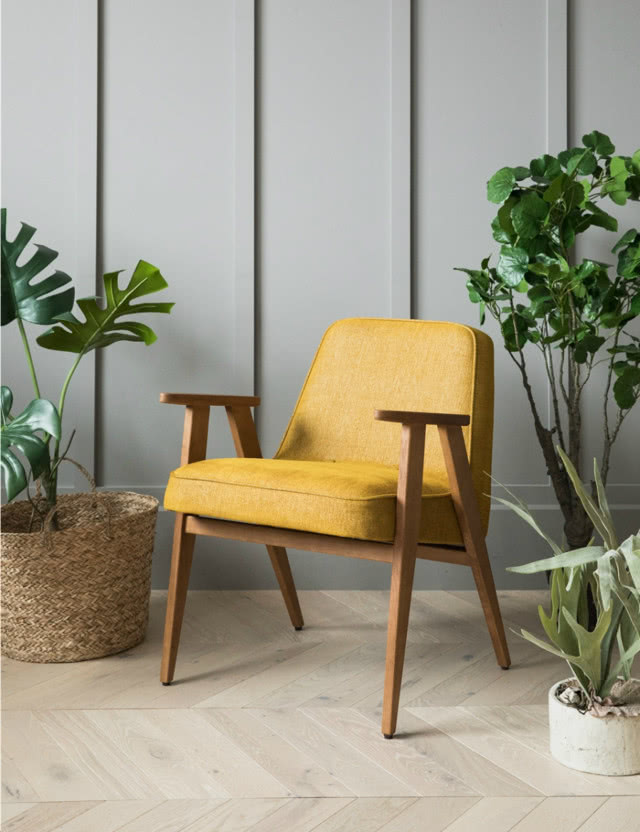 krzesło wśród kwiatów doniczkowych