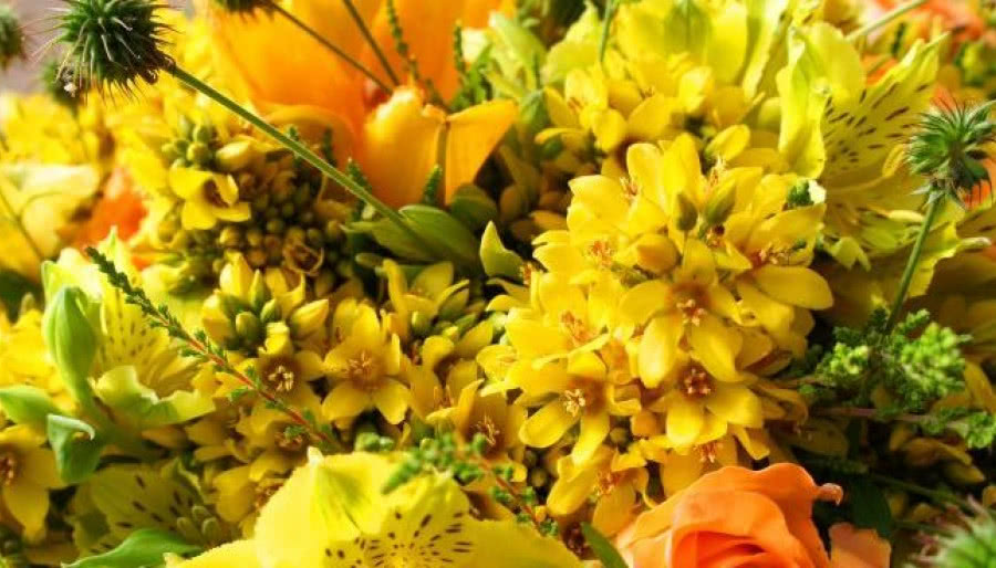 Kolory lata - bukiety z kwiatów sezonowych