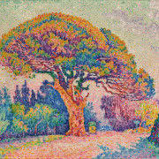 Henri Matisse, "Odaliska w czerwonych spodniach"