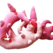 Ola Cieślak. "If you never did you should", 2012