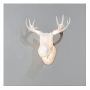 Lampa Moo