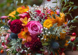 Symbolika kwiatów - sprawdź, co oznaczają kolory i gatunki kwiatów