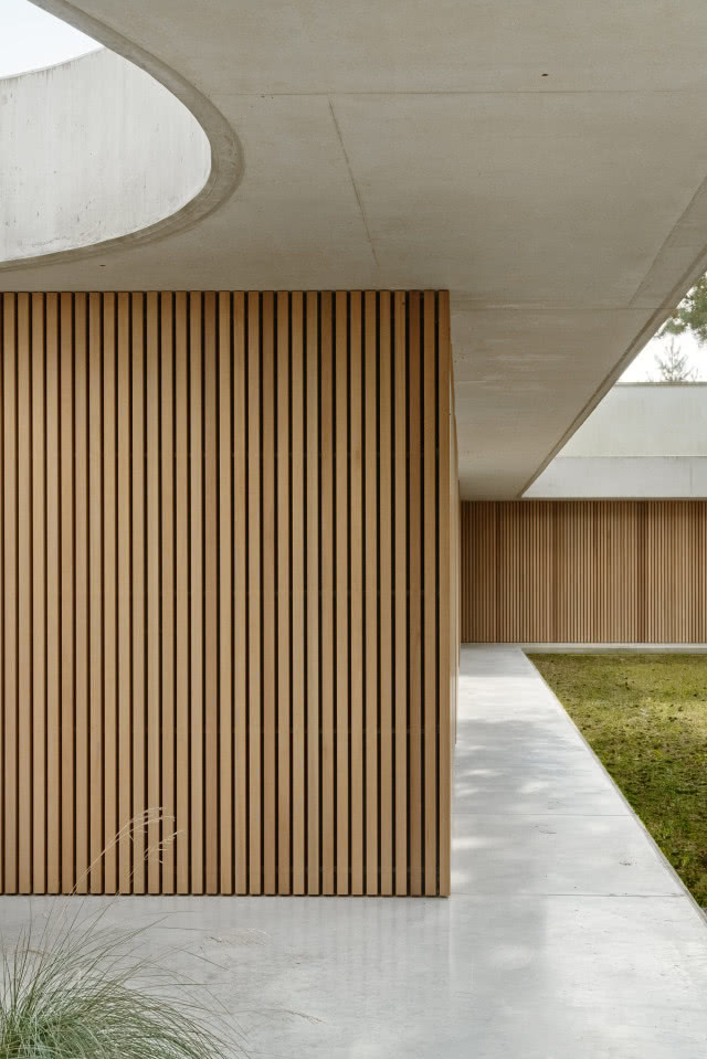 zbliżenie na okładzinę z drewna