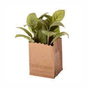 Zestaw 4 sztucznych roślin Mint