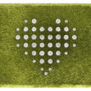 Dywan Joe Jin Design Company