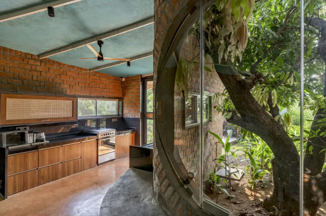 kuchnia w tle, okno od środka z pniem drzewa