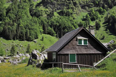 Designerskie kurniki podbijają Internet!