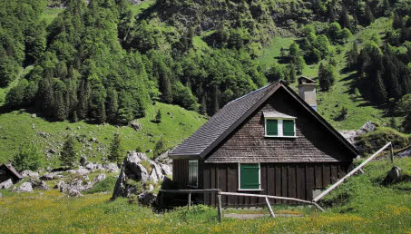 Designerskie kurniki podbijają Internet!