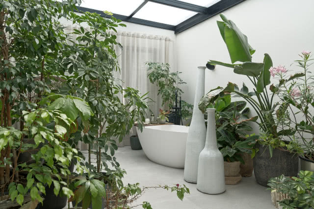 Botaniczna łazienka z dużą ilością zielonych roślin i wanną wolnostojącą