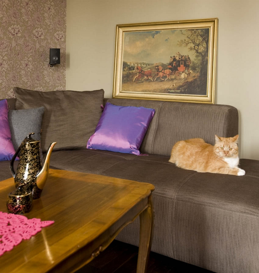 Salon to ulubione miejsce wypoczynku kota.