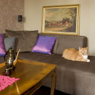 Mieszkanie w stylu eklektycznym 