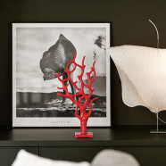 Zielone mieszkanie na Grochowie. Ma dwie szklane oranżerie!