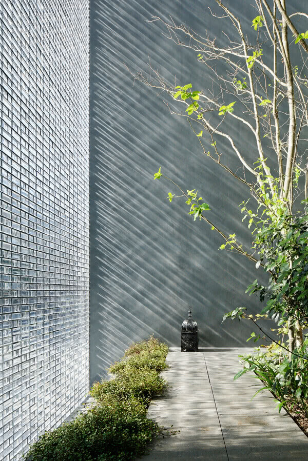 szklana ściana i drzewo