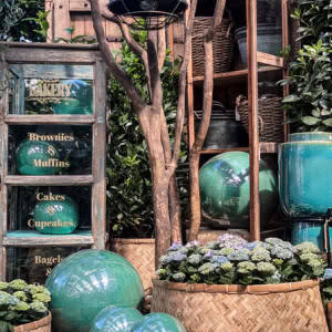 Hortensje - eksplozja barw w ogrodzie