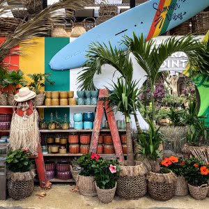 Hortensje - eksplozja barw w ogrodzie