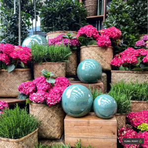 Hortensje - eksplozja barw w ogrodzie