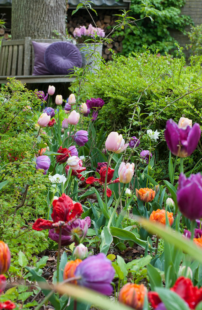 Holenderski ogrodnik tak dobiera rośliny, by...