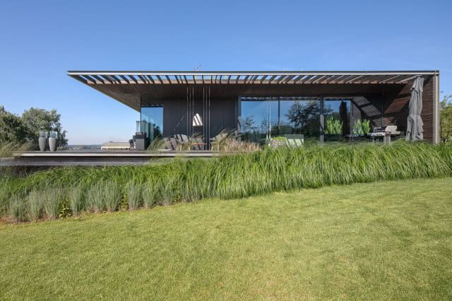 na pierwszy planie trawa, w 