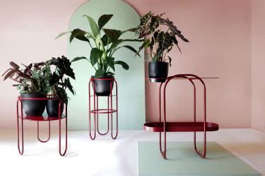 Oprawa roślin. Piękne projekty marki Bujnie