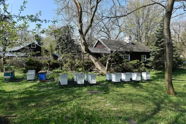 widok na domki z ulami