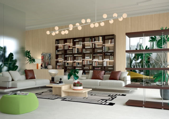 oświetlenie sufitowe, półki na książki, stolik kawowy, kwiaty w donicach, kanapa, pufa, dywan