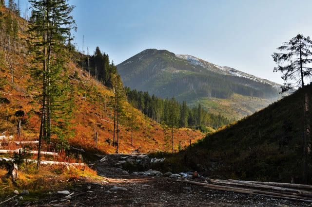 Ogłoszenie wyników konkursu KOŁO "Projekt Łazienki 2021" - transmisja online