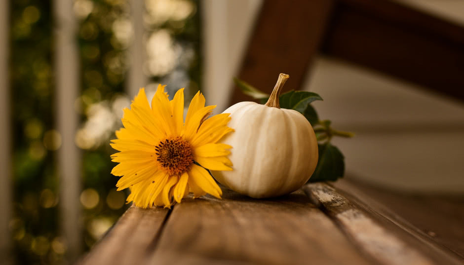 Najpiękniejsze gatunki kwiatów na jesienny balkon i taras