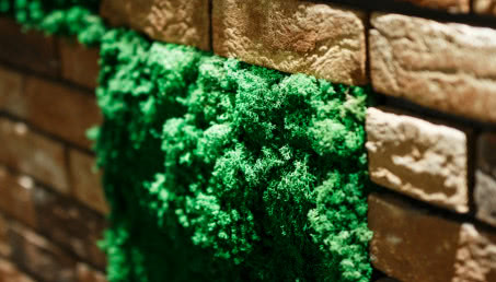 Zielona ściana z mchu w mieszkaniu - jak ją założyć?